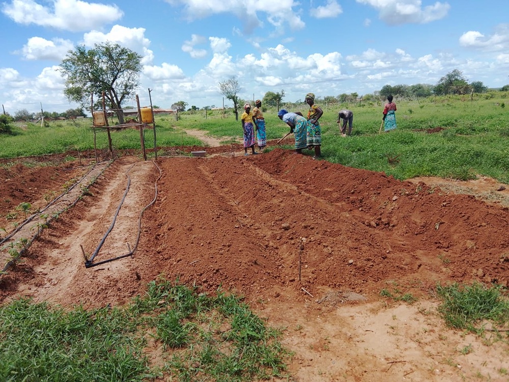 Agriculture