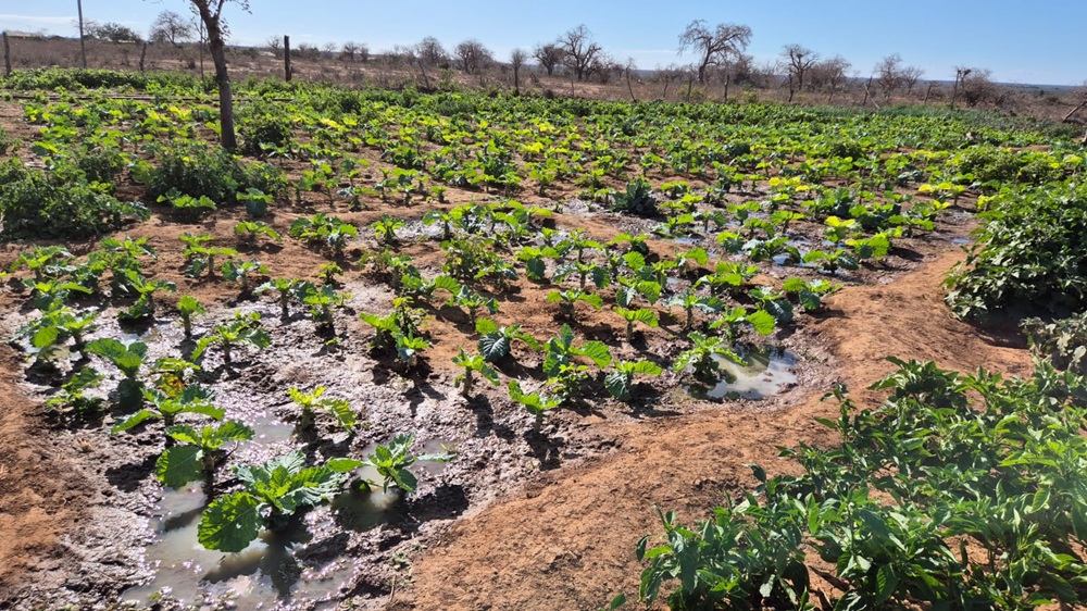 Agriculture