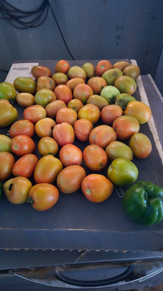 Agriculture